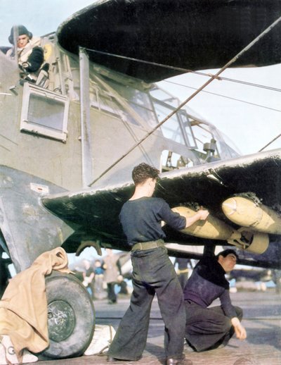 Royal Navy Aircraft, 1942 by English Photographer